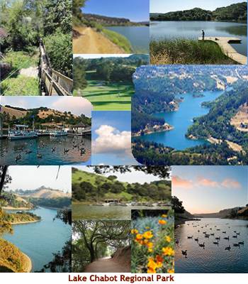 Pictres of Lake Chabot Regional Park